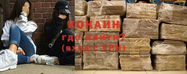 хмурый Алексин