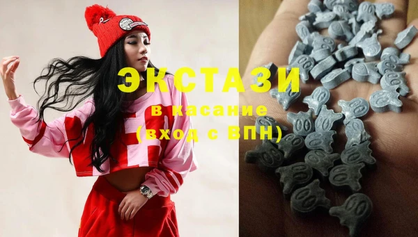 хмурый Алексин