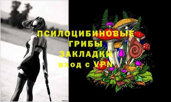 хмурый Алексин