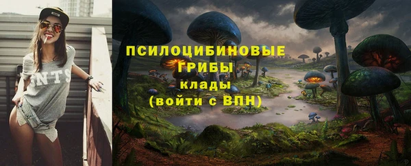 мяу мяу мука Россошь